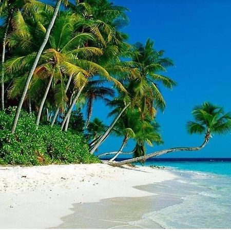 Airbnb At Sri Sayang Batu Ferringhi Beach Exterior foto